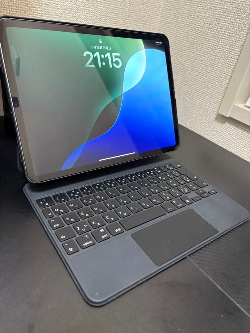 【超お得３点セット美品】iPad Pro 11インチ (第2世代)