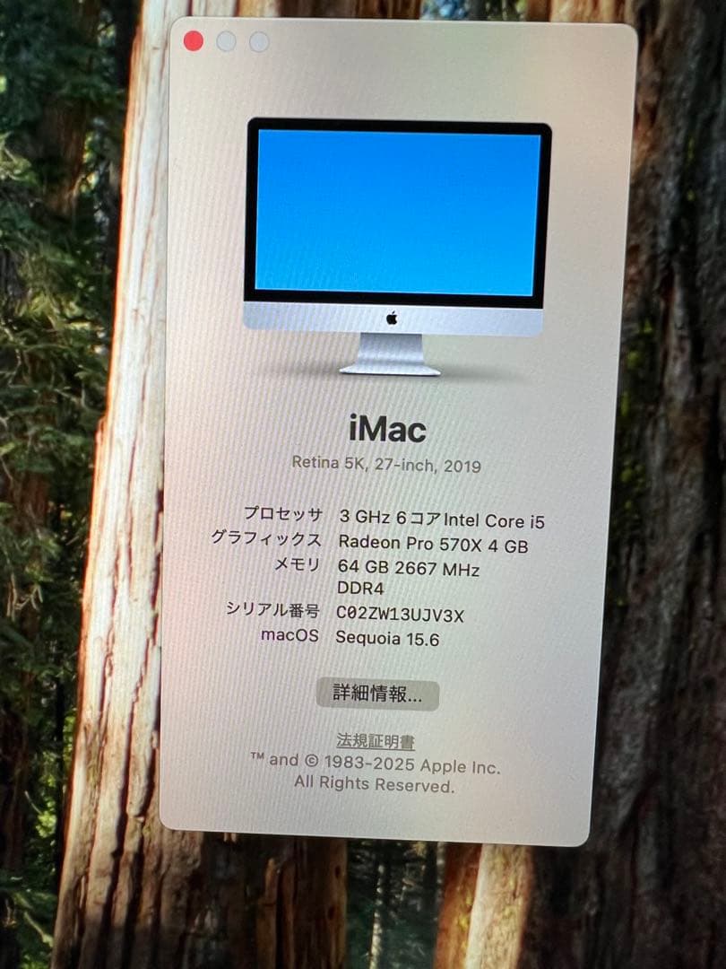 Apple iMac Retina 5K 2019 27インチ64GB