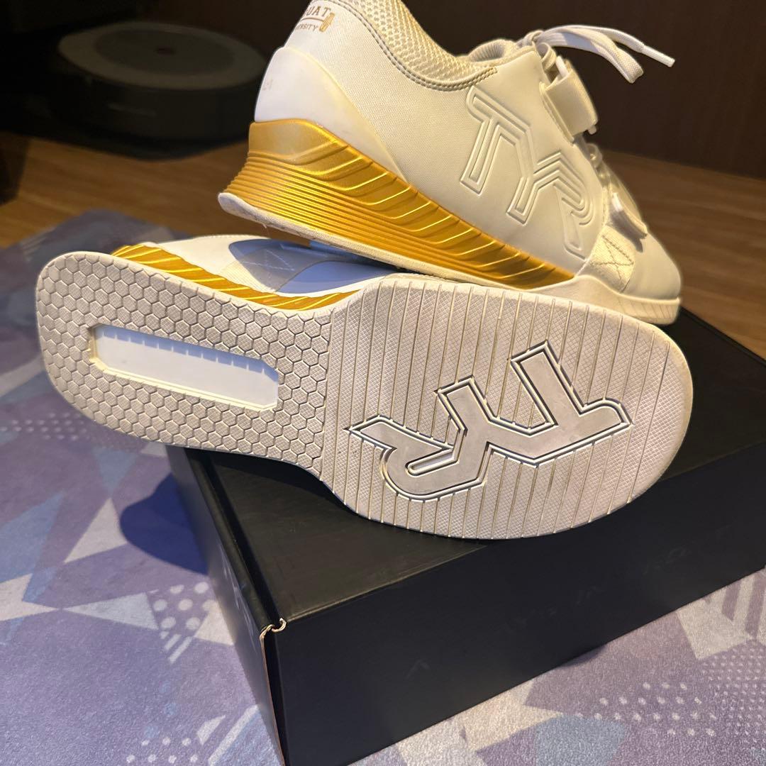 TYR L-1 ウエイトトレーニング　箱あり