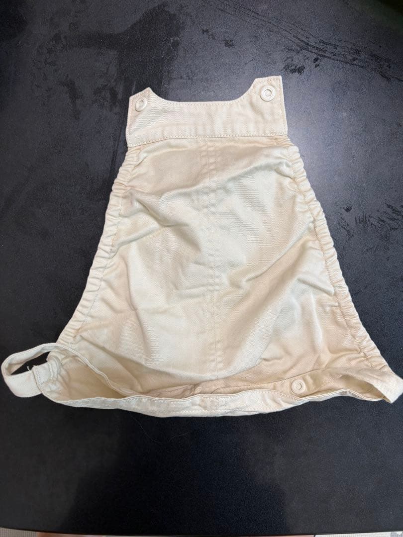 キューズベリーNICO 2024年モデル