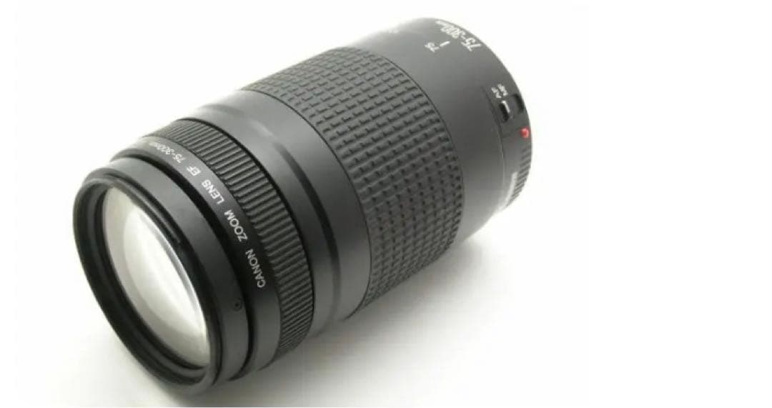 イベント等/スポーツ/Canon EF75-300㎜F4-5.6 II