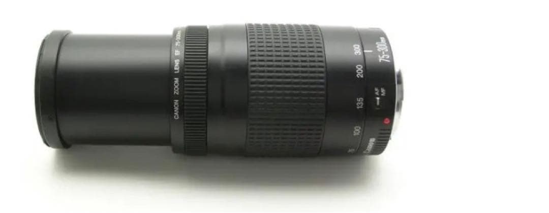 イベント等/スポーツ/Canon EF75-300㎜F4-5.6 II