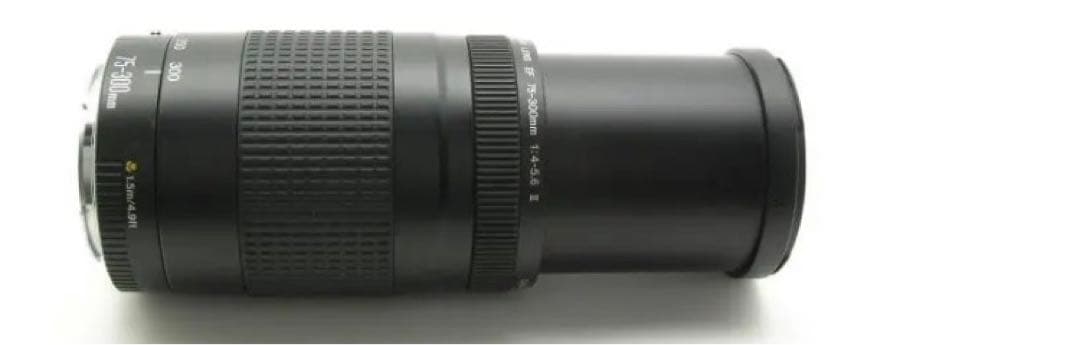 イベント等/スポーツ/Canon EF75-300㎜F4-5.6 II