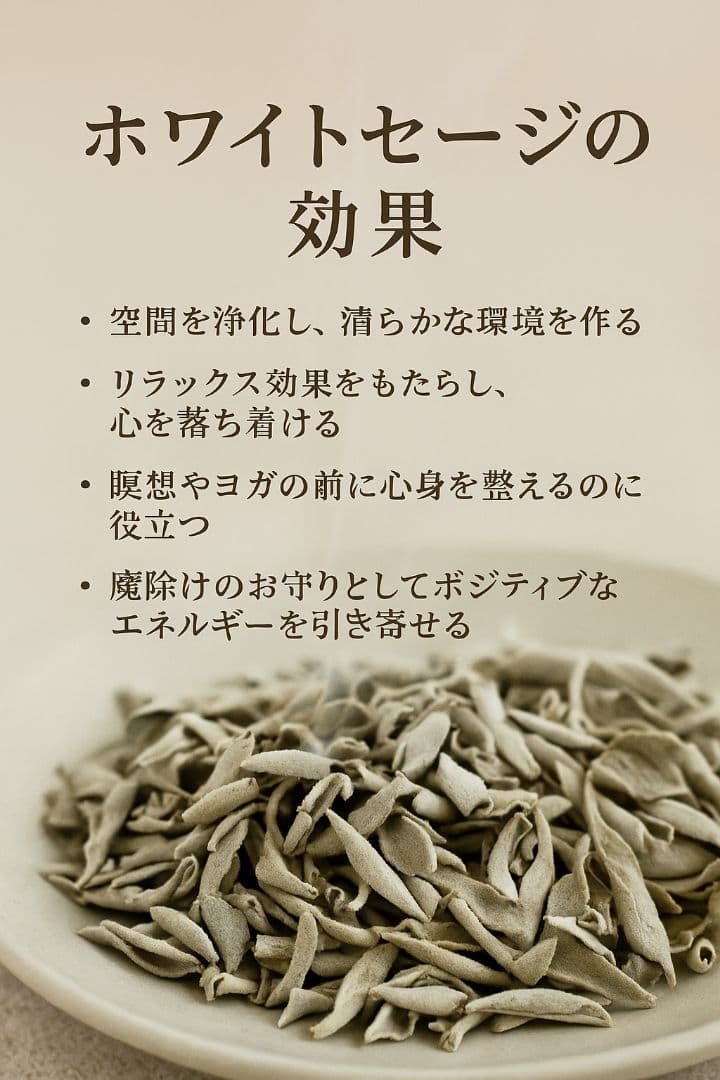 激安価格☆無農薬ホワイトセージ枝付きクラスター1kgお香浄化業務用価額