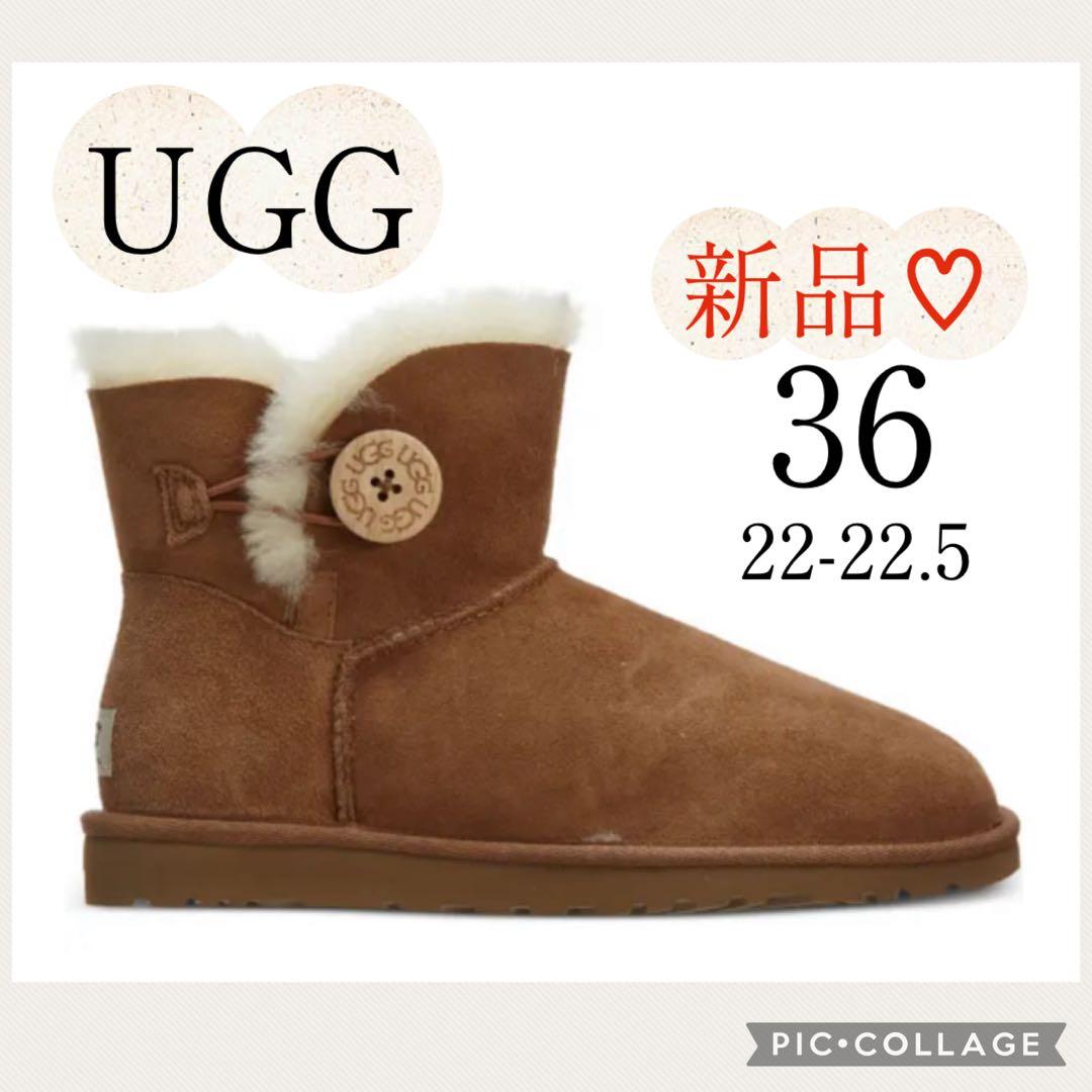 【新品・未使用】アグ(UGG)ミニベイリーボタン★チェスナット★ 36