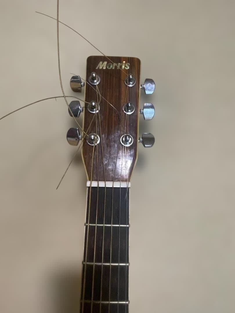 モーリスアコースティックギター　MD507