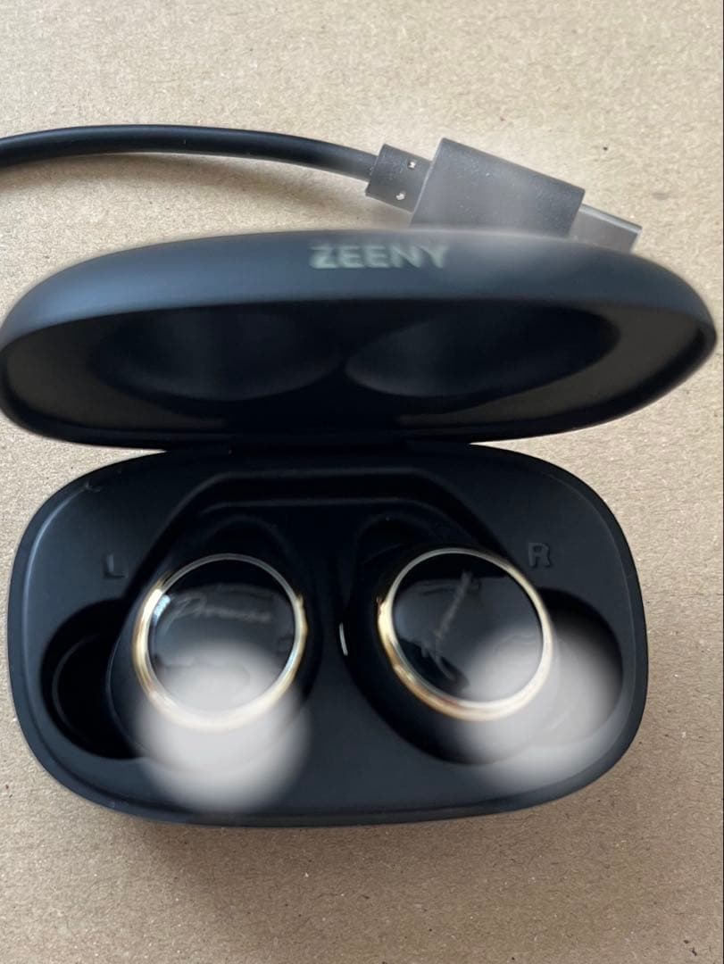 非売品 AAA 與真司郎 Zeeny Lights 2 イヤホン