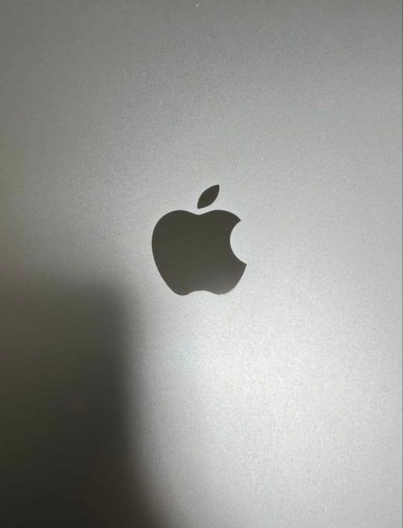 iPad Pro 第3世代 12.9インチ 256GB Cellular