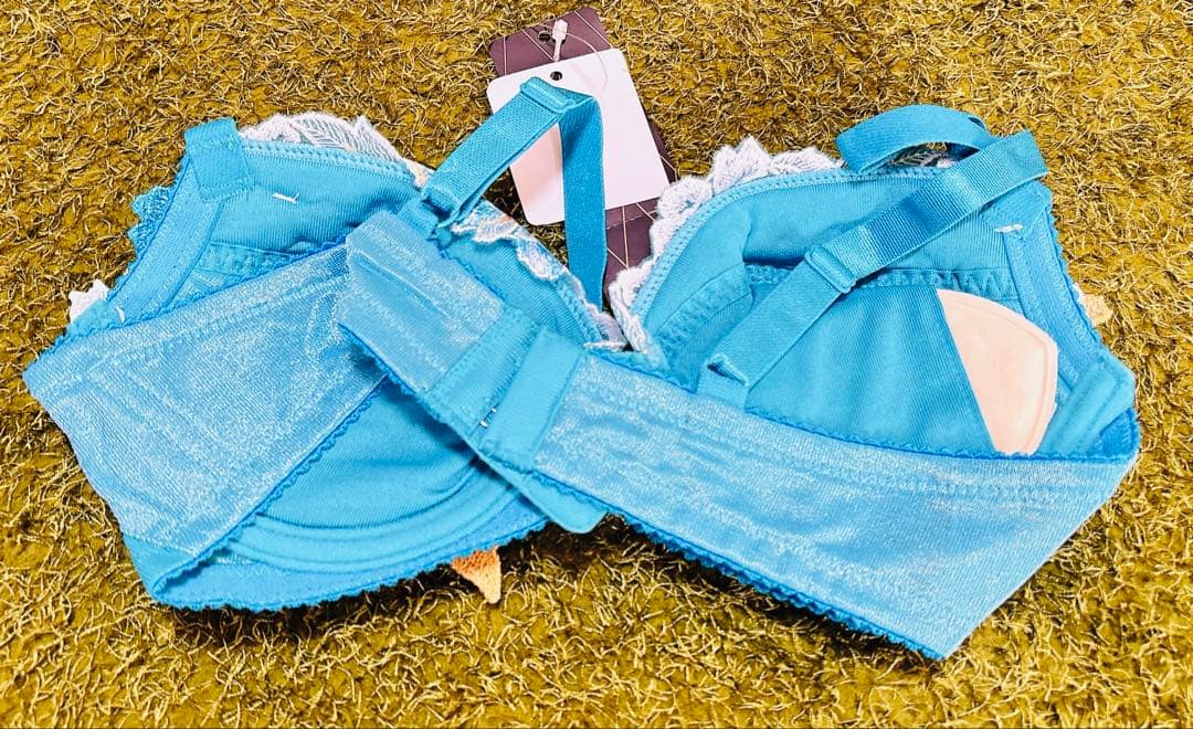 yank 花柄刺繍 ブラジャーD65ショースリップセット