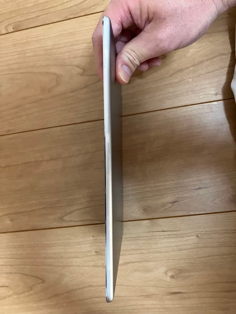 Apple iPad air2 128GB ケース・フィルム付