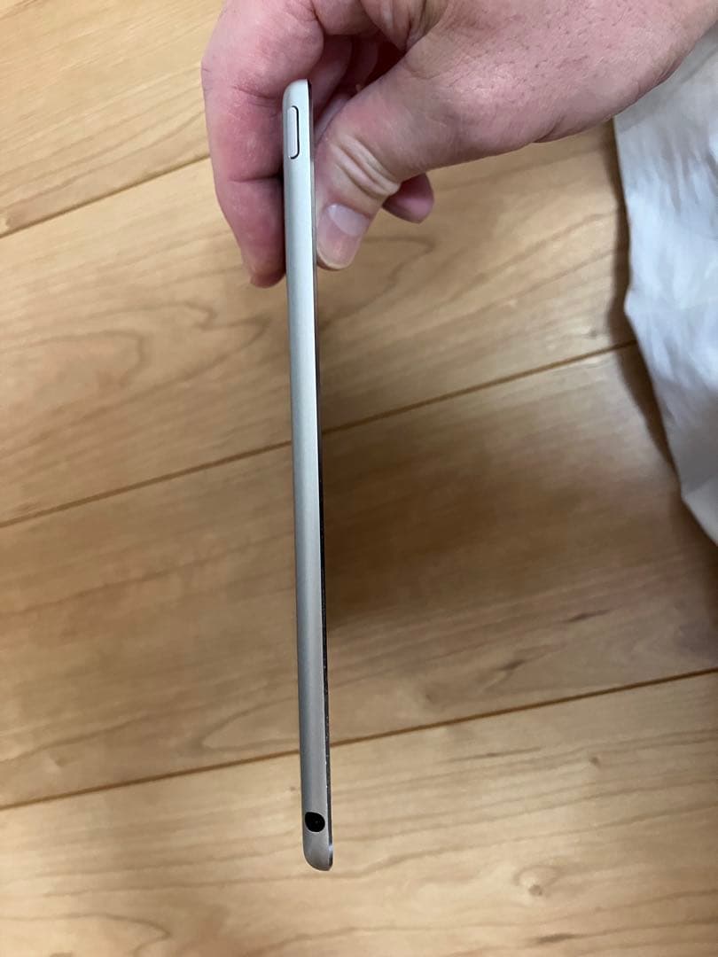 Apple iPad air2 128GB ケース・フィルム付