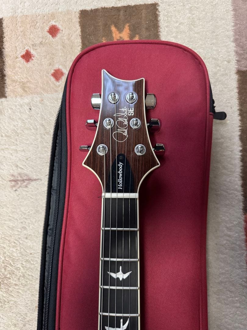 PRS se ホローボディー