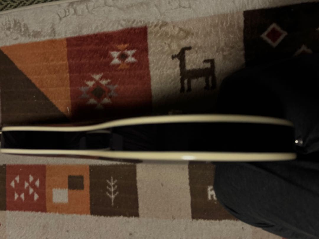 PRS se ホローボディー