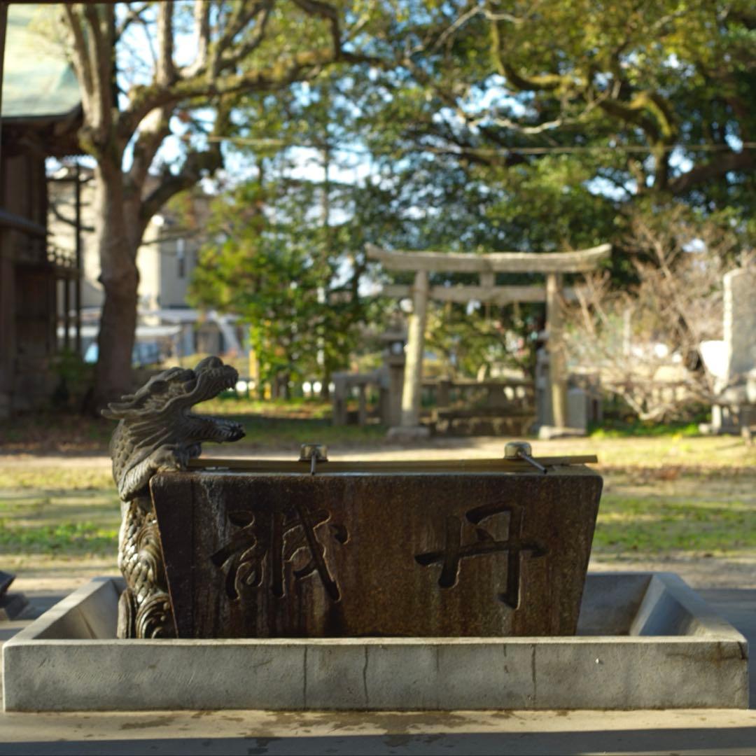 【OH済み】Hasselblad 500C/M 80mm CF T*