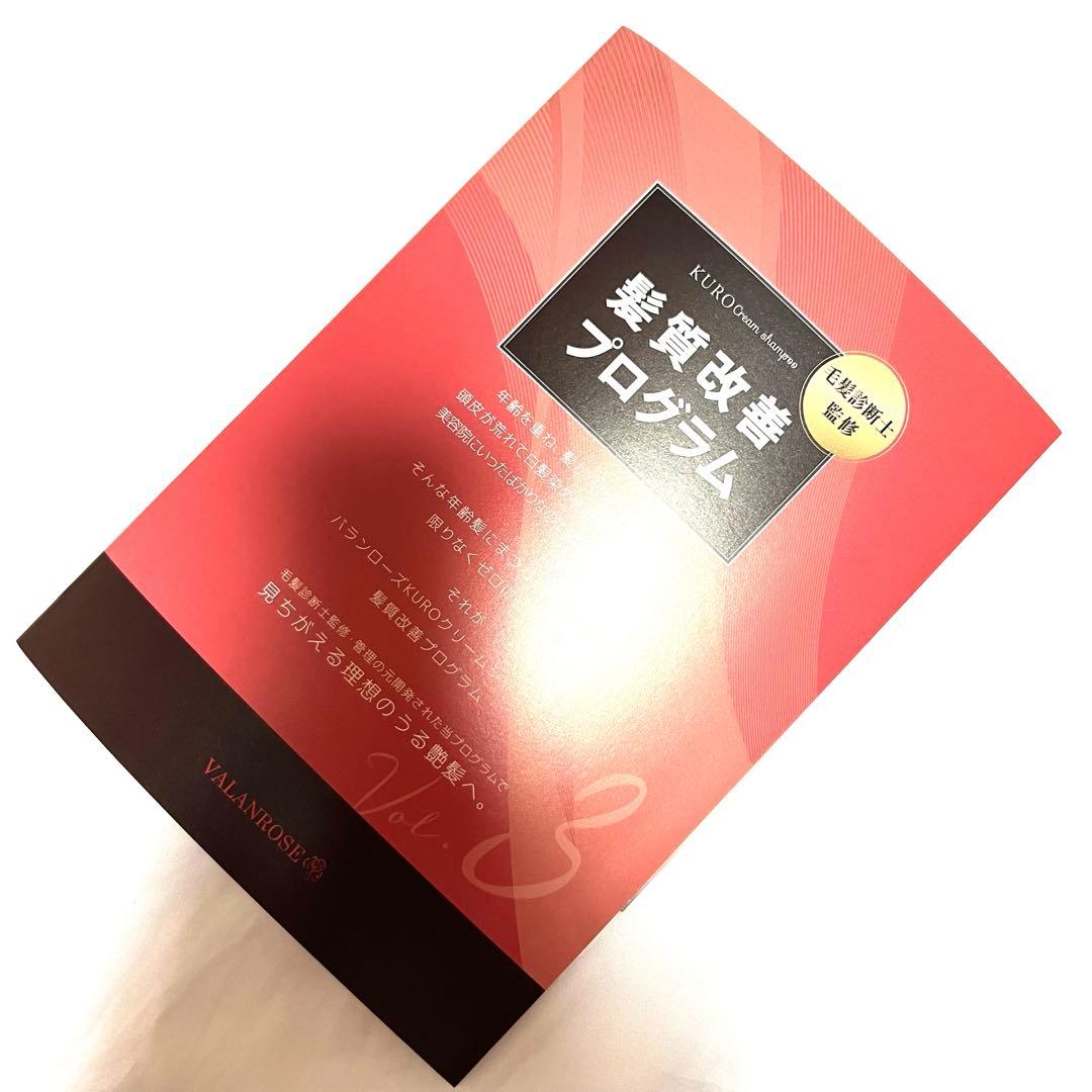 KURO クリームシャンプー ダークブラウン 400g 2セット 説明書付き