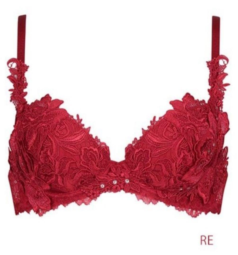 サルート salute ブラジャー Tバック F70/M 総刺繍　スワロフスキー