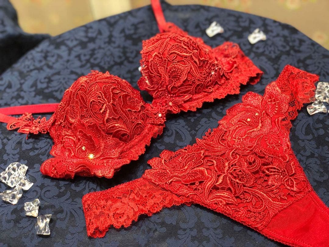 サルート salute ブラジャー Tバック F70/M 総刺繍　スワロフスキー