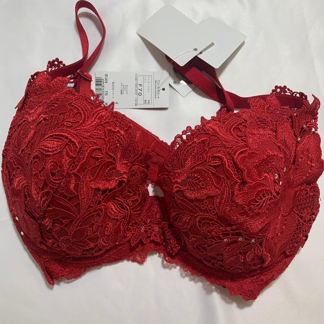 サルート salute ブラジャー Tバック F70/M 総刺繍　スワロフスキー