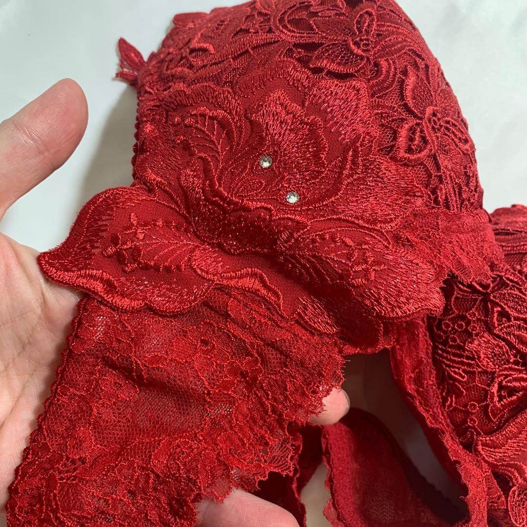 サルート salute ブラジャー Tバック F70/M 総刺繍　スワロフスキー