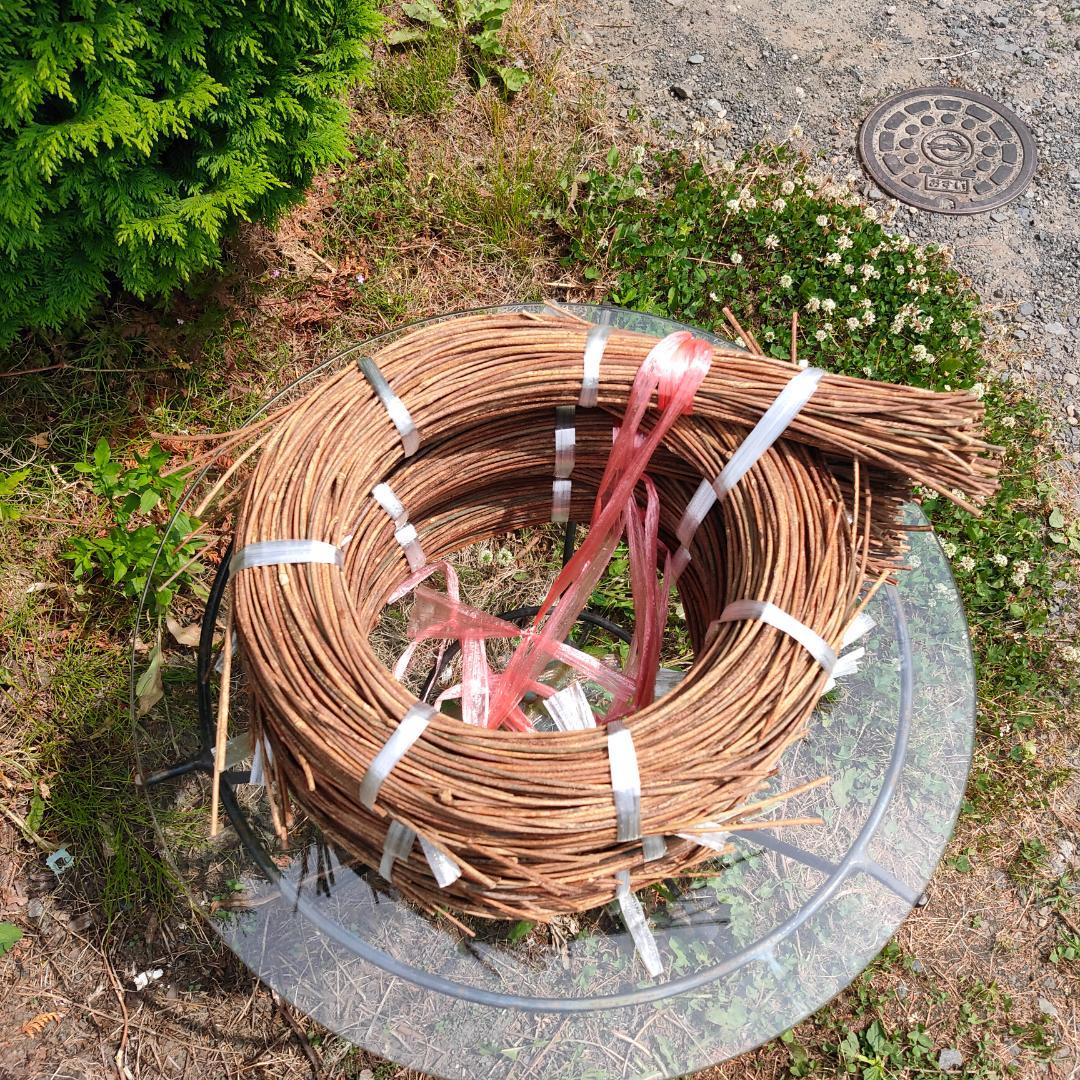 みっくん　青森県岩木山採取　あけび蔓　150cm～　練習用　3kg