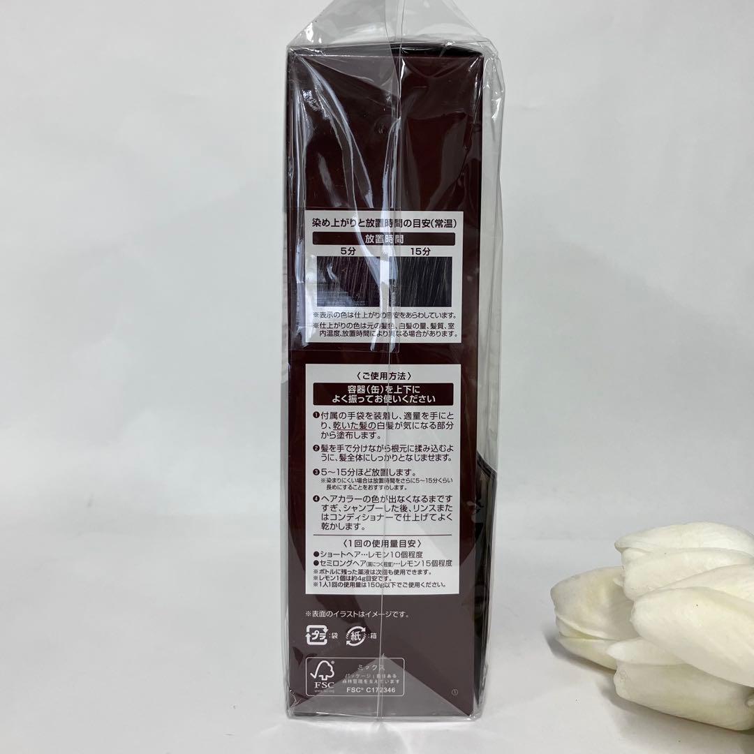 ヘアーボーテ エクラ エアーカラーフォームEX ダークブラウン 150g 3個