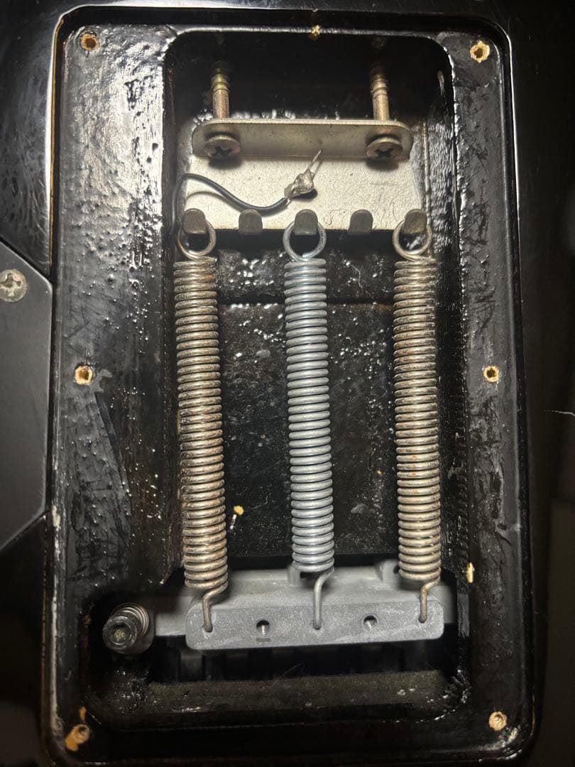 Ibanez RG370DX　ソフトケース付き