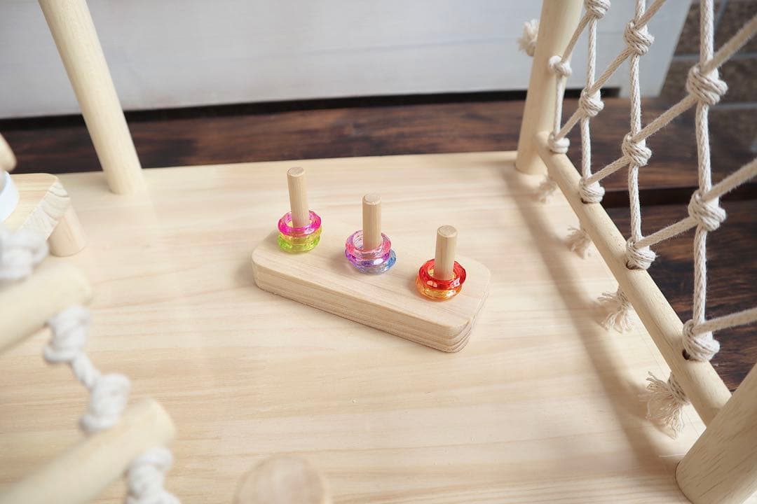 ことりのおおきなあそびば　文鳥　インコ　バードジム　バードアスレチック