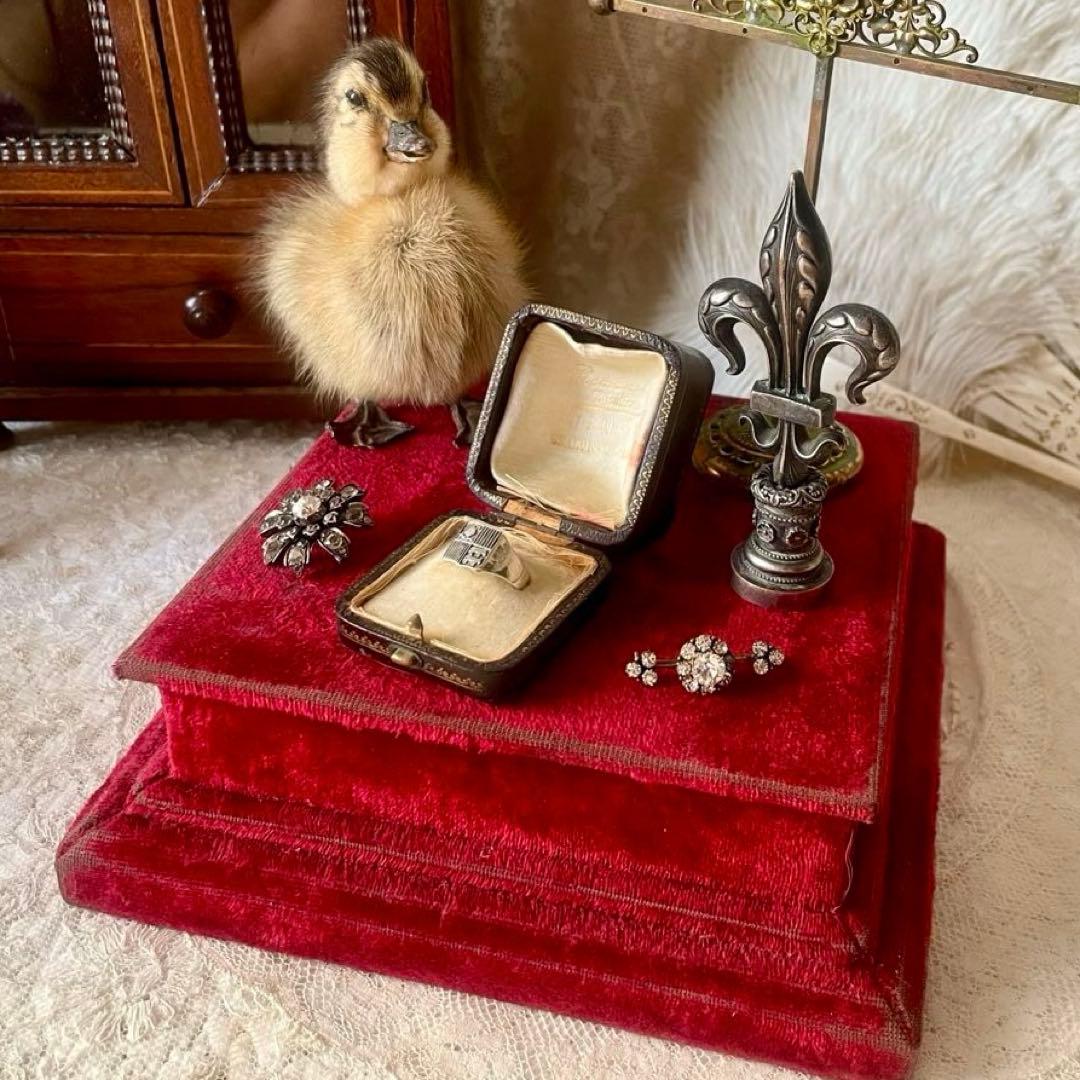 りむ。様 リクエスト 4点 まとめ商品