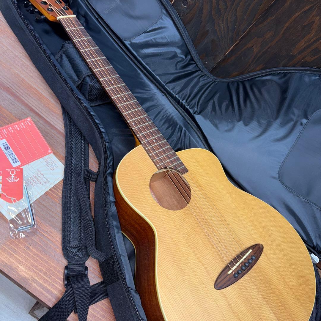 aNueNueアコースティックギター