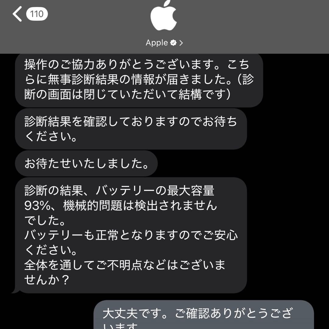 iPad Pro 11インチ 256GBフルセット