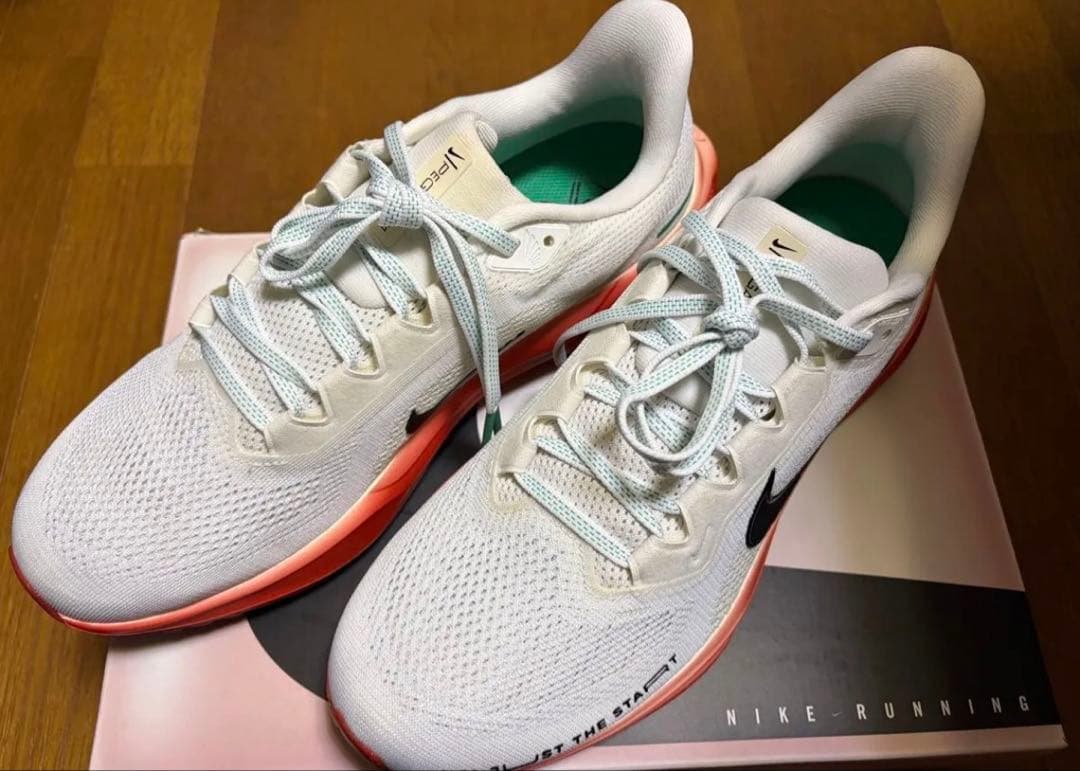 ナイキ ペガサス41 キプチョゲ NIKE Pegasus41 ek 27cm