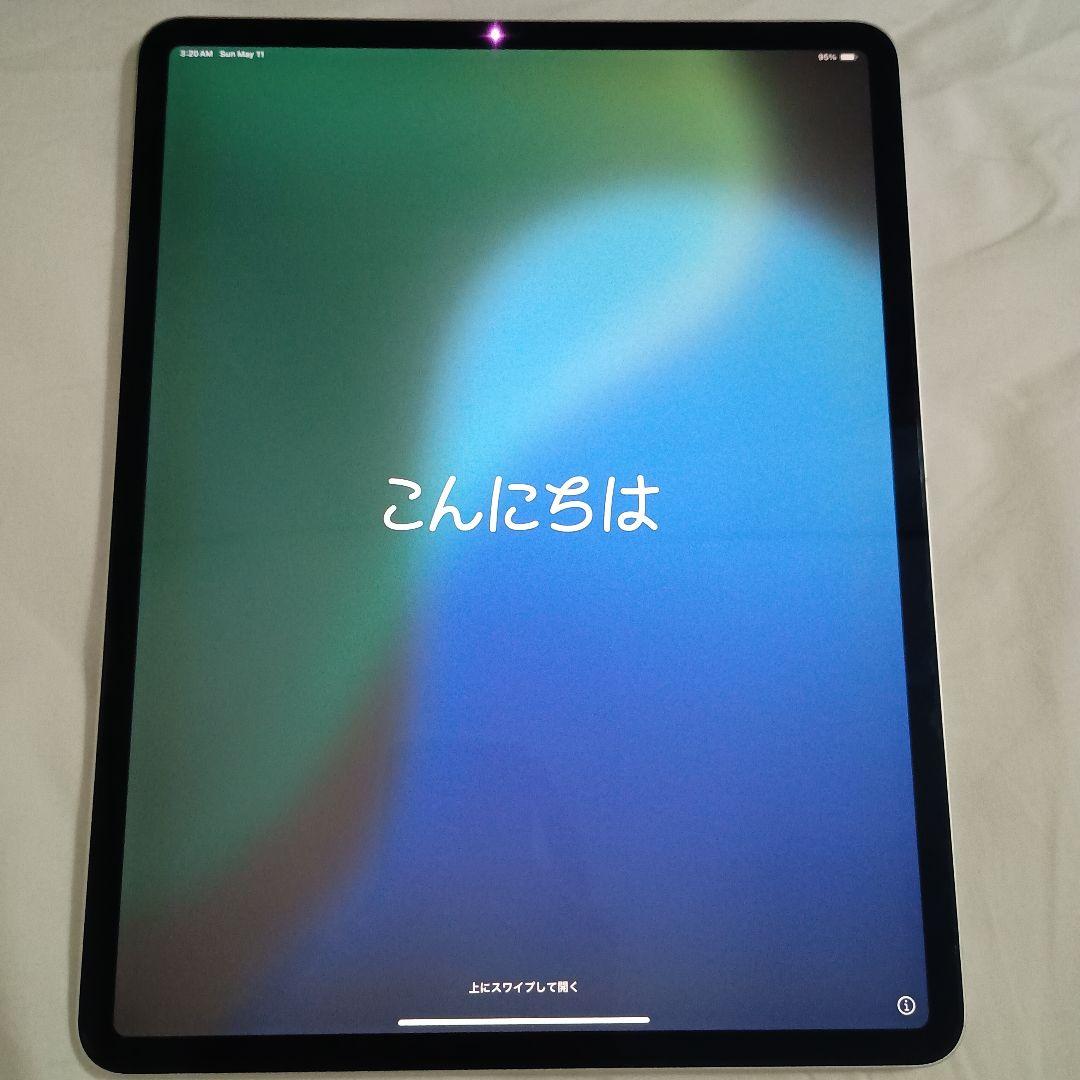 iPad Pro 第3世代 12.9インチ 256GB Wi-Fi ペン付　美品