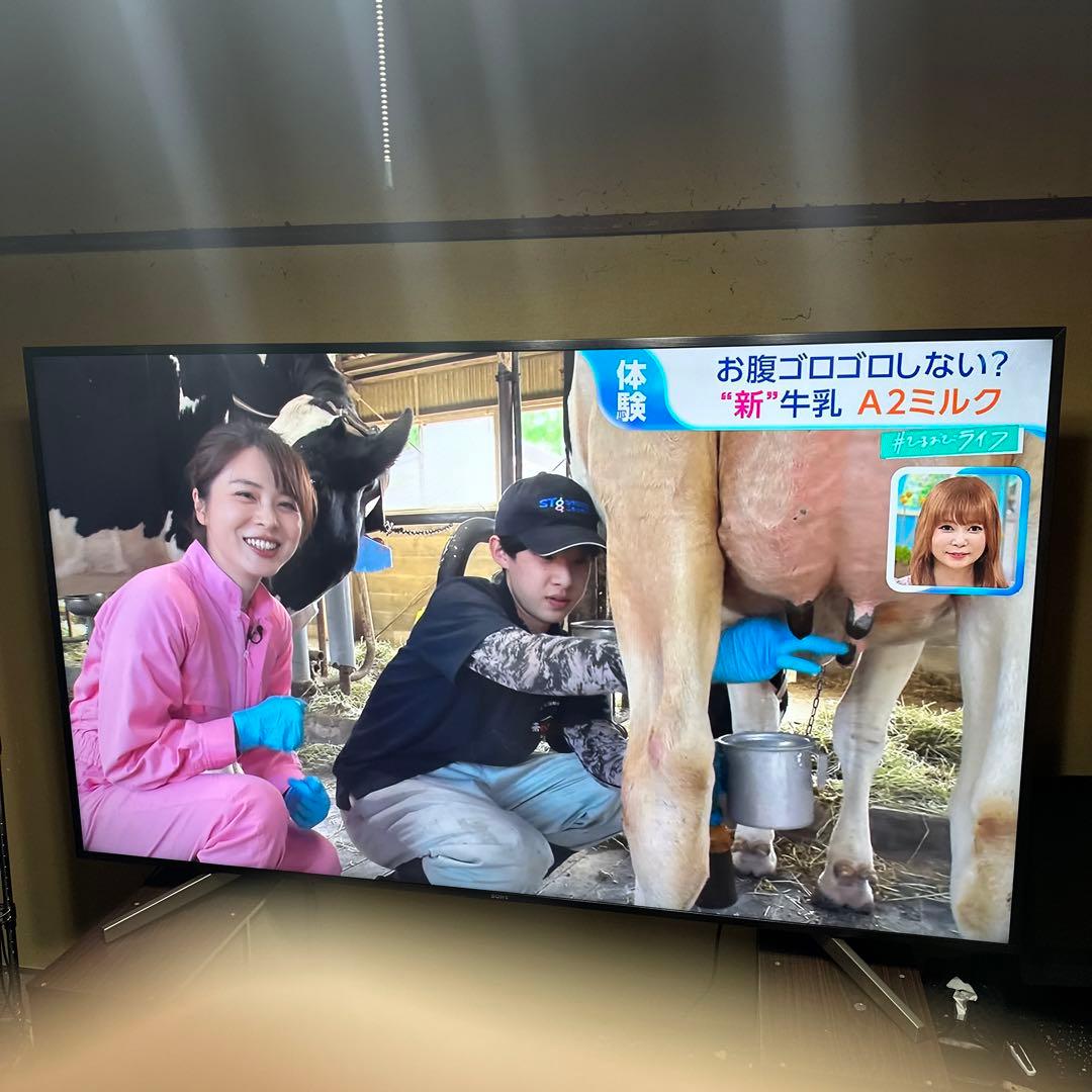 テレビ SONY BRAVIA X8500F KJ-85X8500F