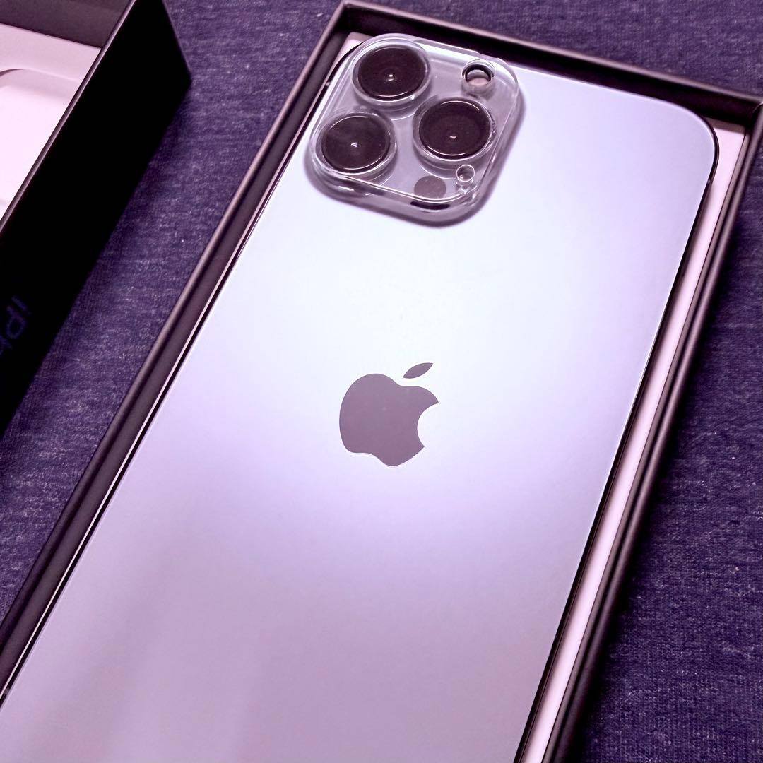 【付属品完備】iPhone13ProMax 256GB シエラブルー 美品