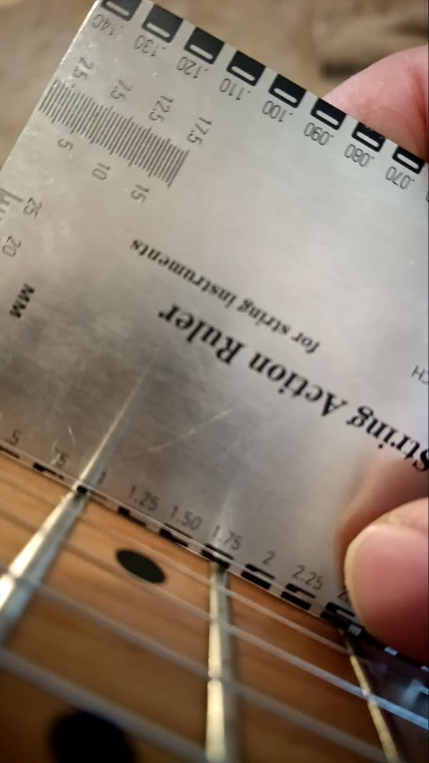 Bacchus BTE-2-RSM/M 3TS エレキギター