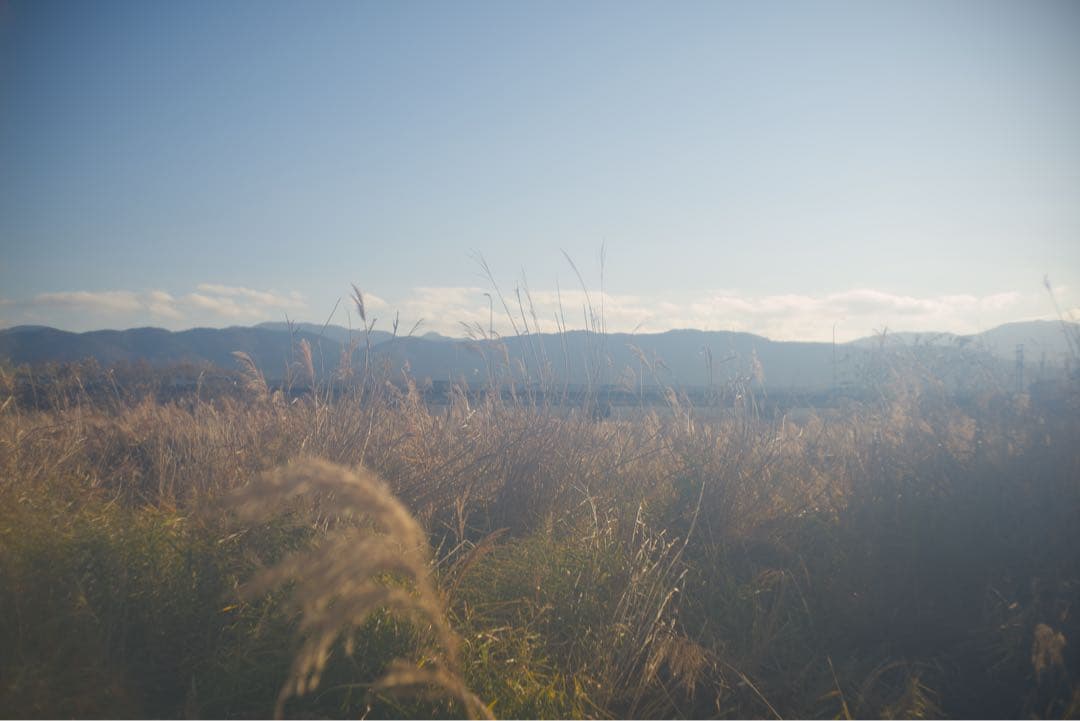 Canon35mmF2.8 ライカL39マウントレンズ