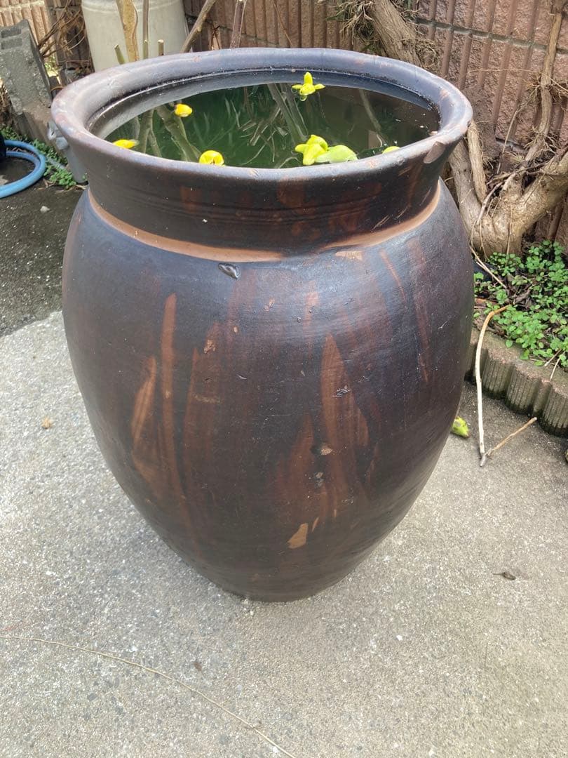 【古民具】大型 渋い黒釉 、ダークブラウン陶器の甕。 アンティークメダカ鉢。