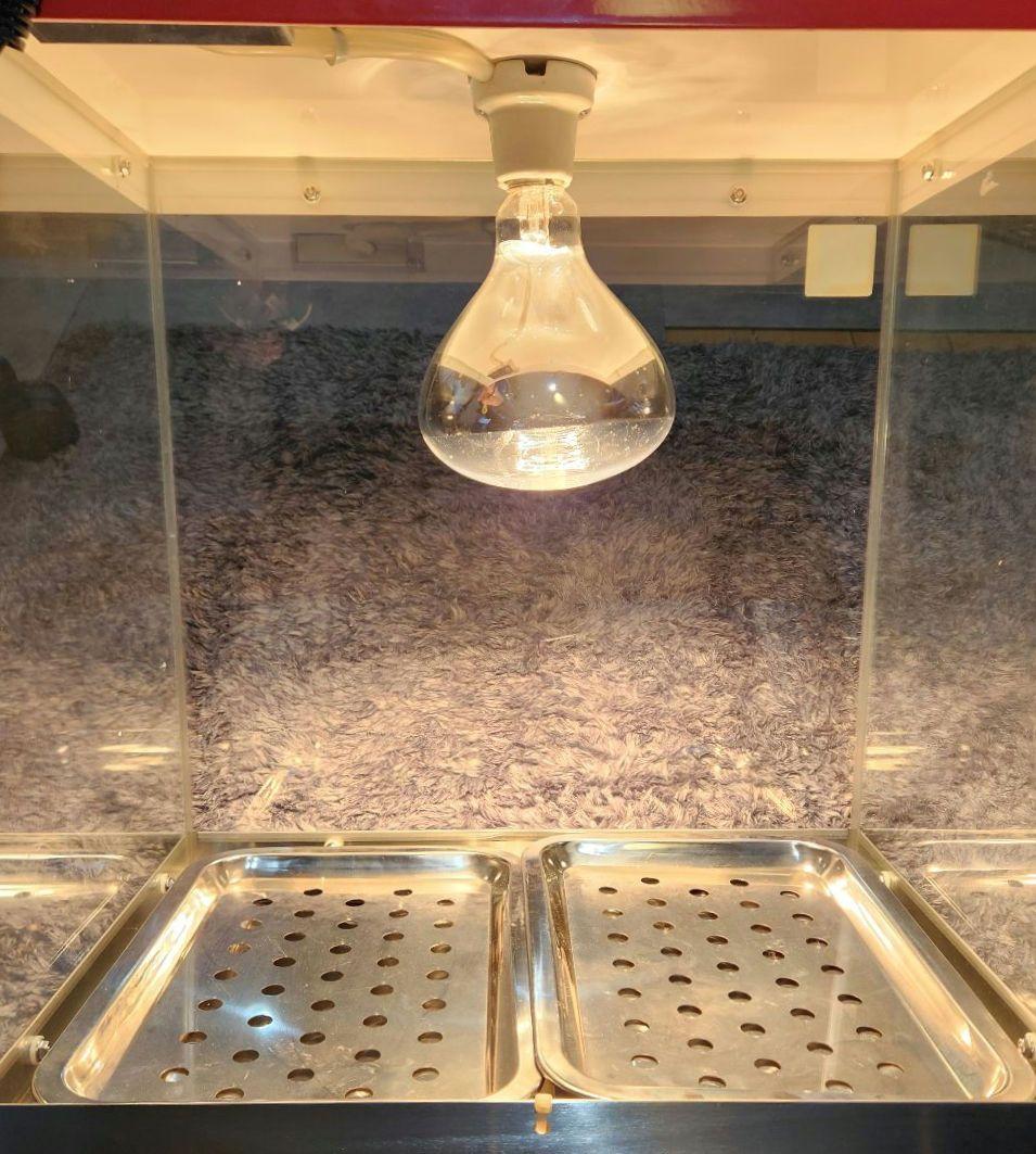 美品！■業務用ホットショーケース