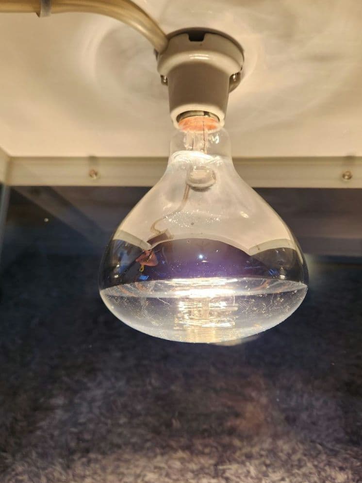 美品！■業務用ホットショーケース