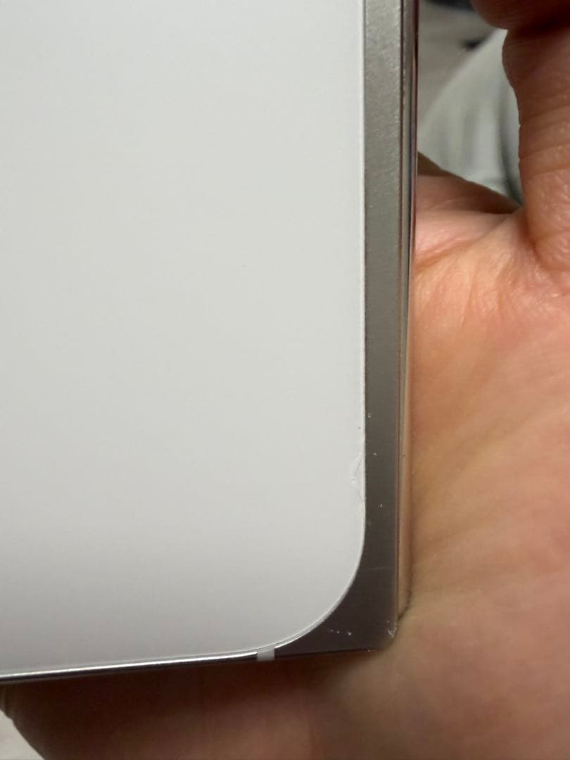 Google Pixel 9 Pro Fold 本体