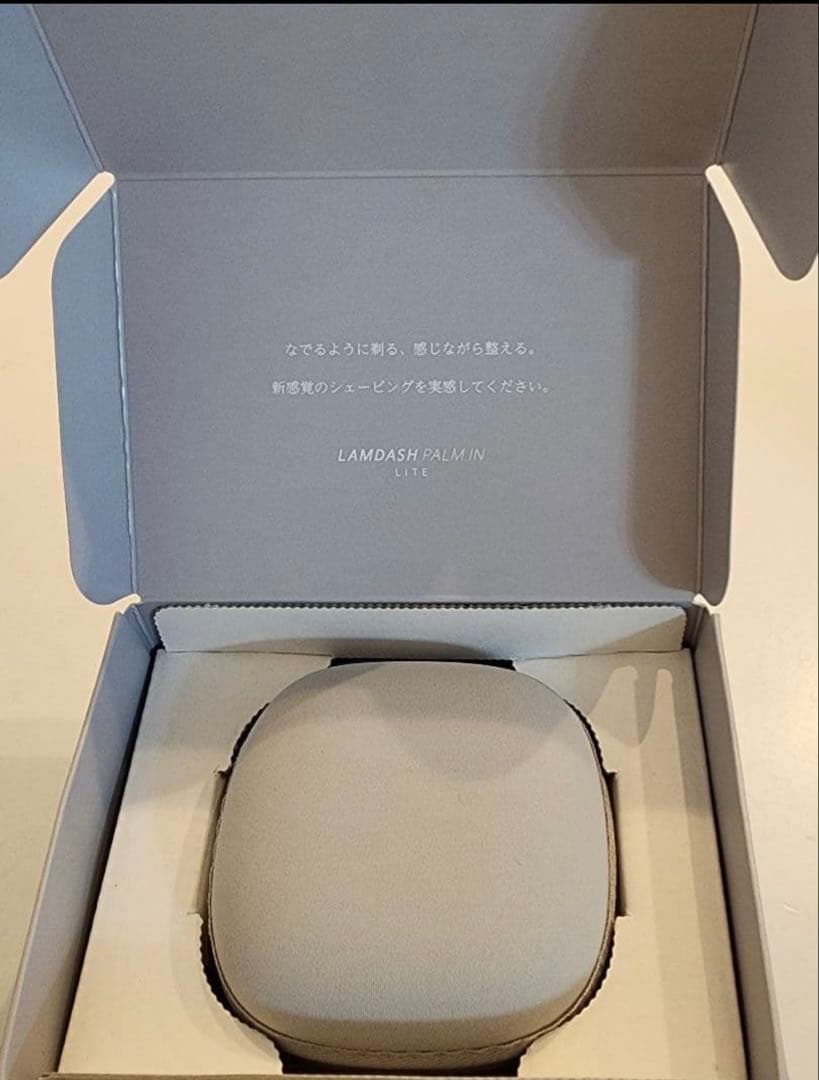 Panasonic ラムダッシュパームイン LITE