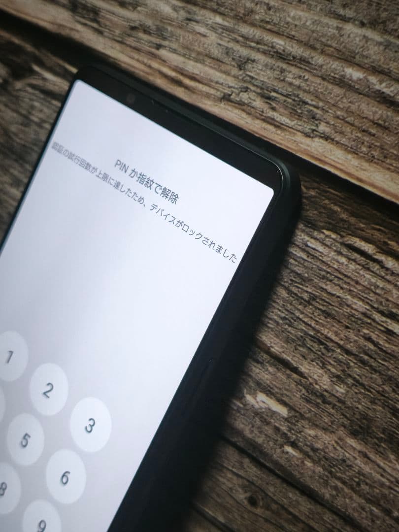 SONY Xperia 1 Ⅵ 12/256GB グローバル版 XQ-EC72