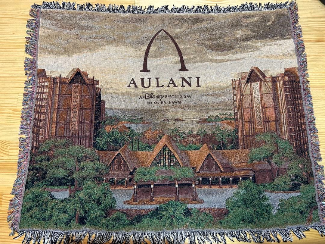 アウラニディズニー　マルチカバー　ブランケト（127×152）