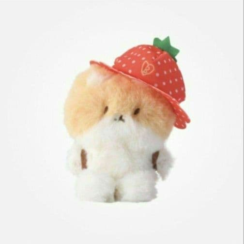 ベッキョン 10cm トレギ イチゴ