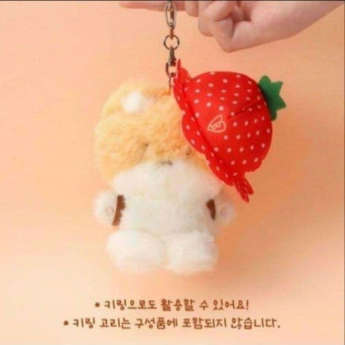 ベッキョン 10cm トレギ イチゴ