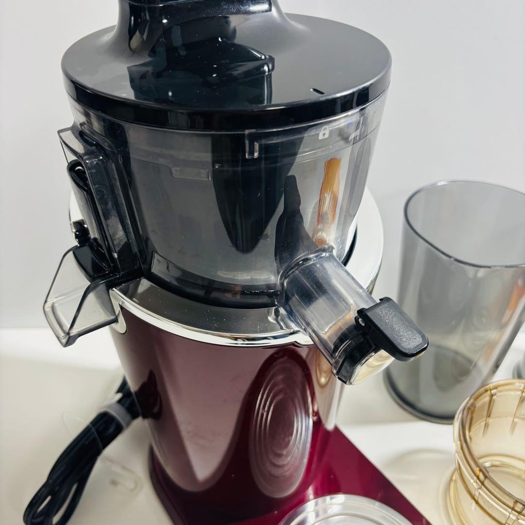 HUROM H-100-EBAA01 スロージューサーアドバンスド100