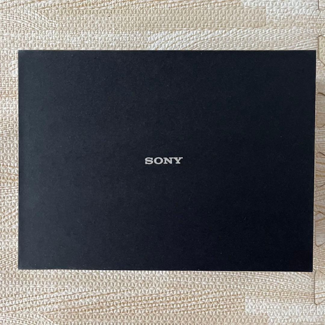 SONY IER-M9 有線イヤホン