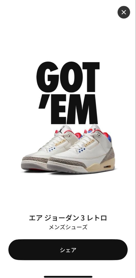 靴 AIR JORDAN 3 Seoul