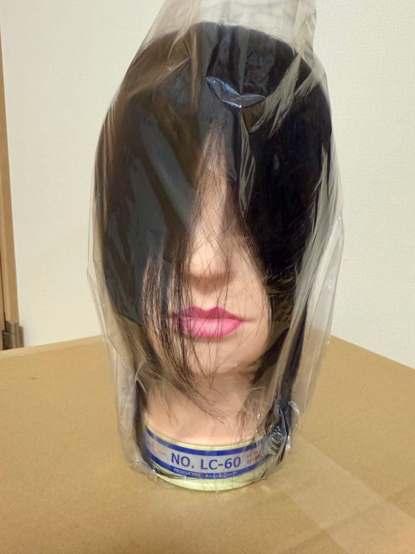 国家試験練習用カットウィッグ16体セット