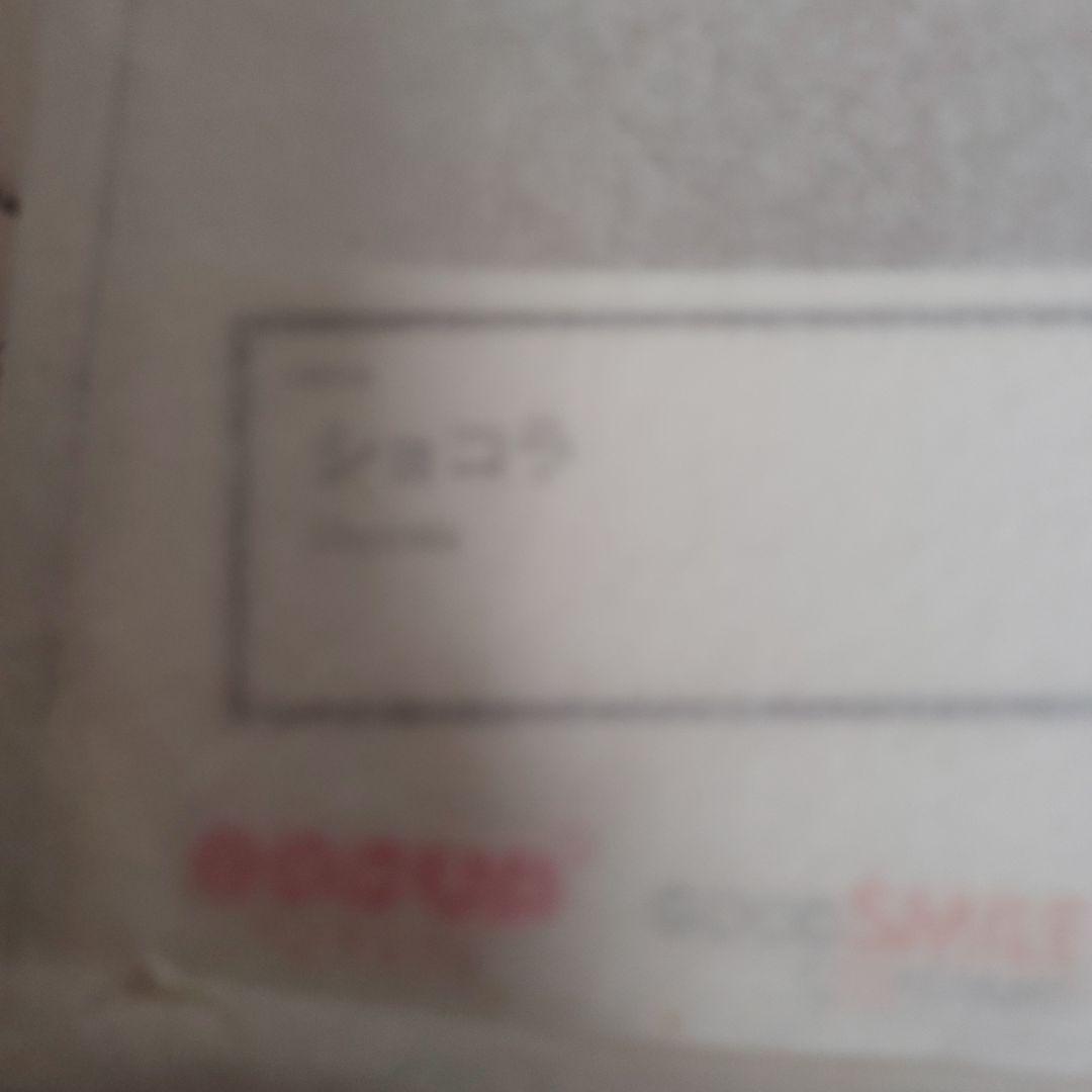 【未開封】POP UP PARADE ネコぱら ショコラ バニラ 2体セット